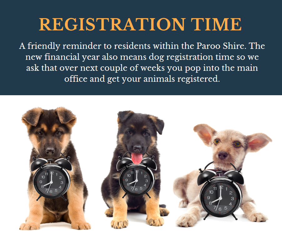 The new financial year also means dog registration time so we ask that over next couple of weeks you pop into the main office and get your animals registered.
